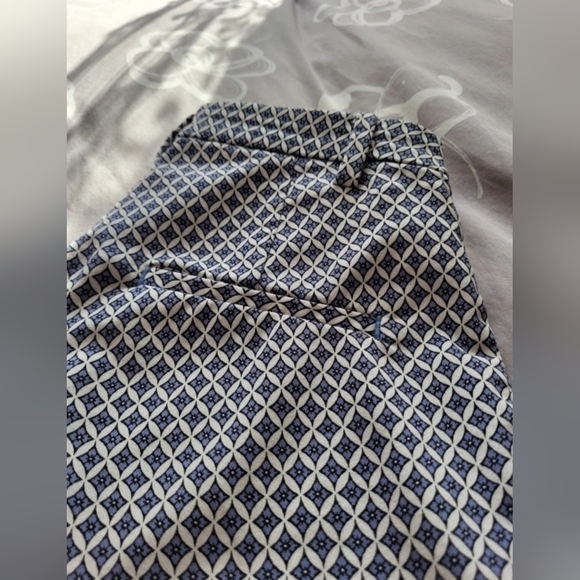 H&M Ladies Navy Blue & White Ankle Pant | Size 2 - Picture 2 of 10